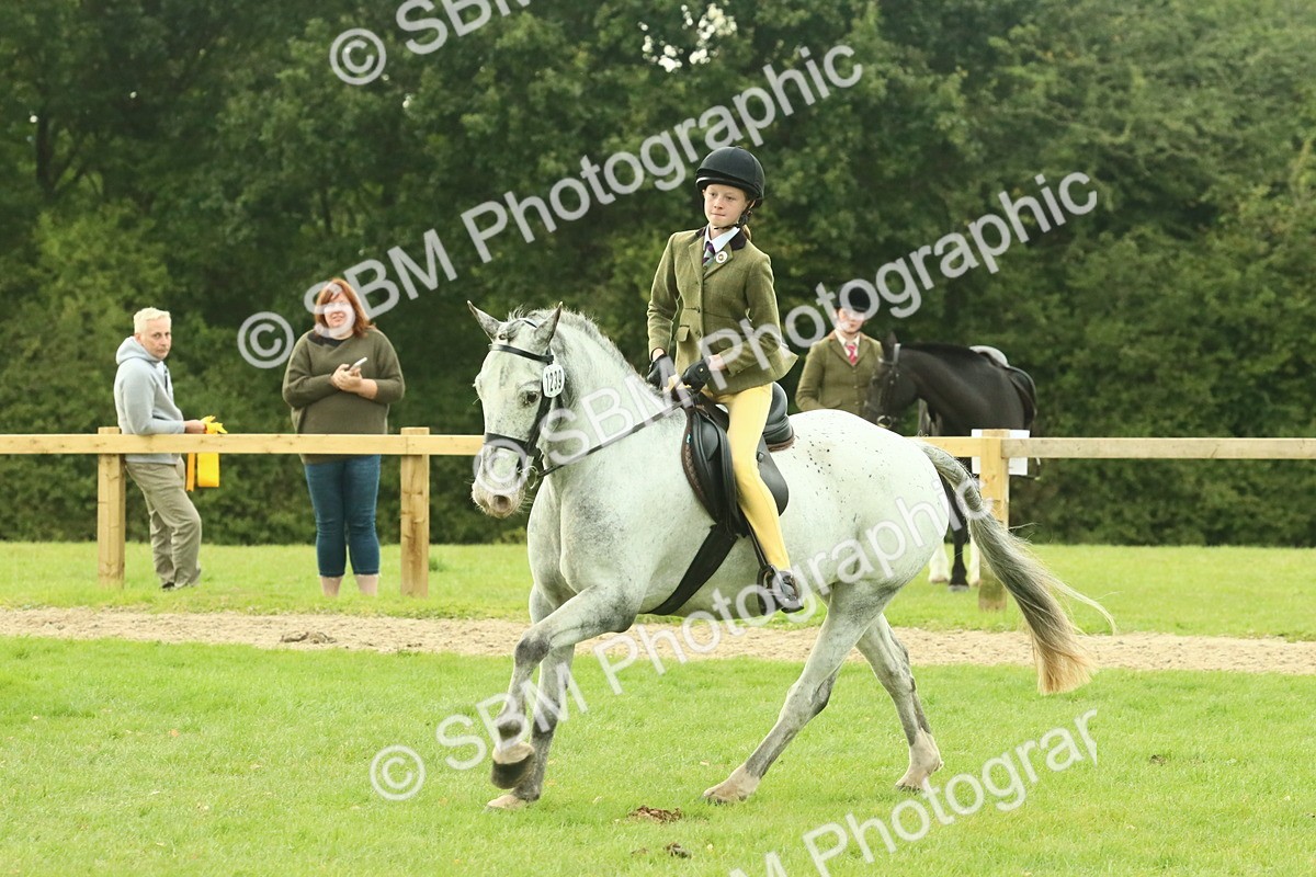SBM_74060 - S 61 - Show Pony & Show Hunter Pony Ridden
