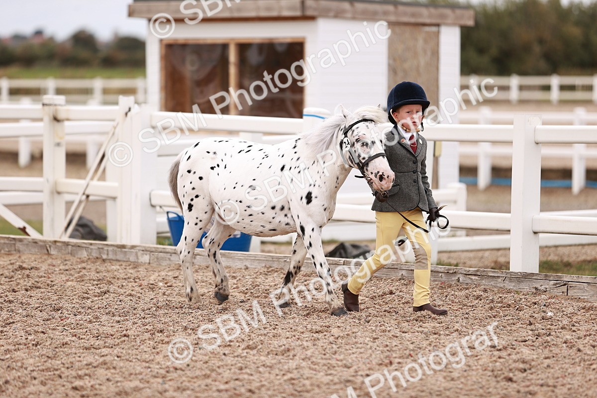 SBM_18543 - Class 421 - Childs Best Friend - Jnr