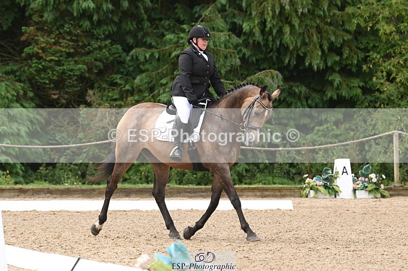 250719A-104338-03992 - 127-Jocelyn.Gilmore-Spring.Lily