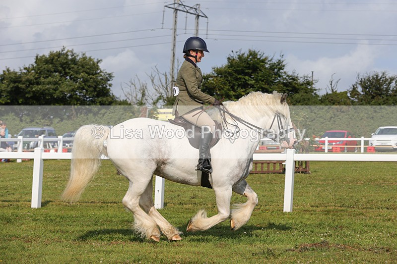 1X9A3389 - Class 28: Ridden Native/Trad Coloured Pony