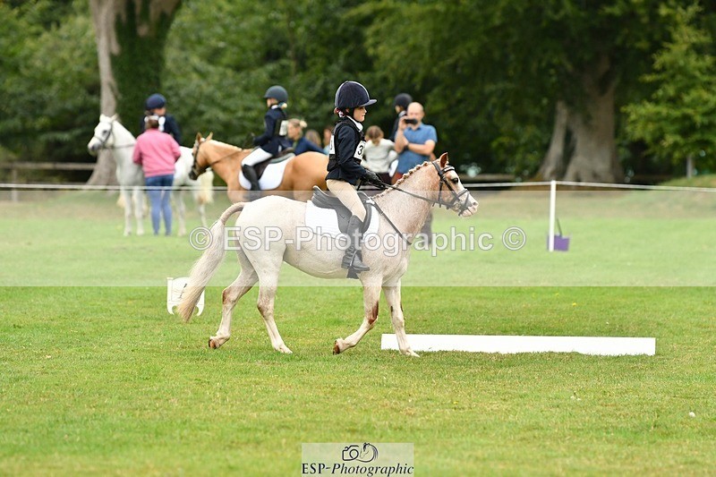 250820A-104052-04694 - Start to 11am