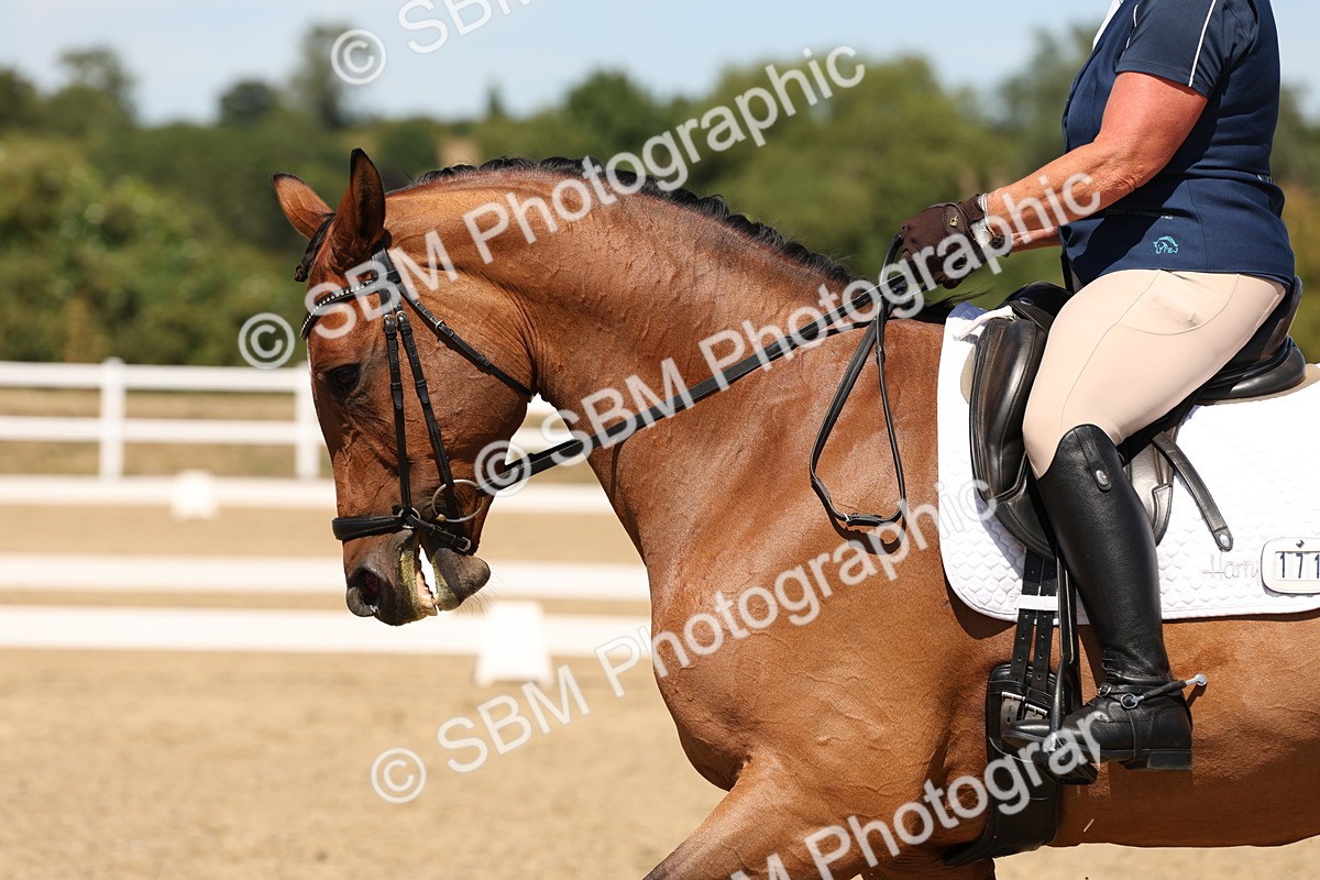 SBM_002932 - Elementary 4