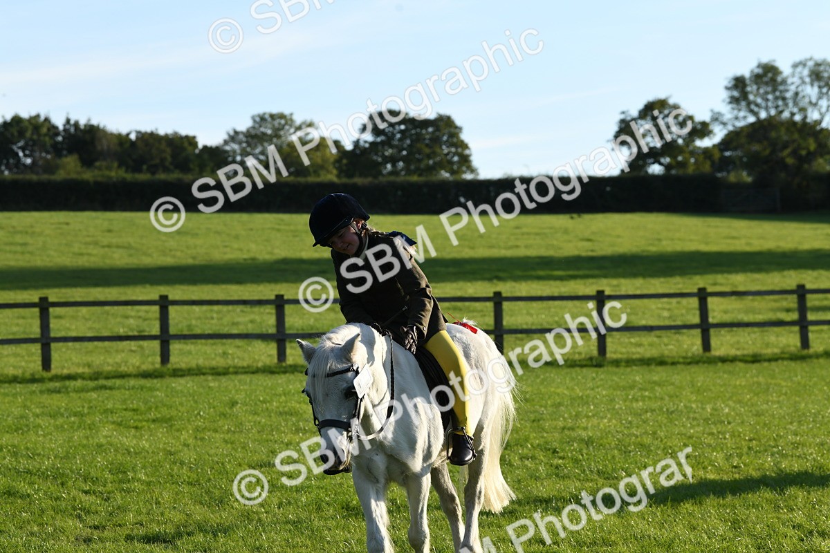 SBM_54152 - S23 - 1st Ridden Mountain & Moorland Pony