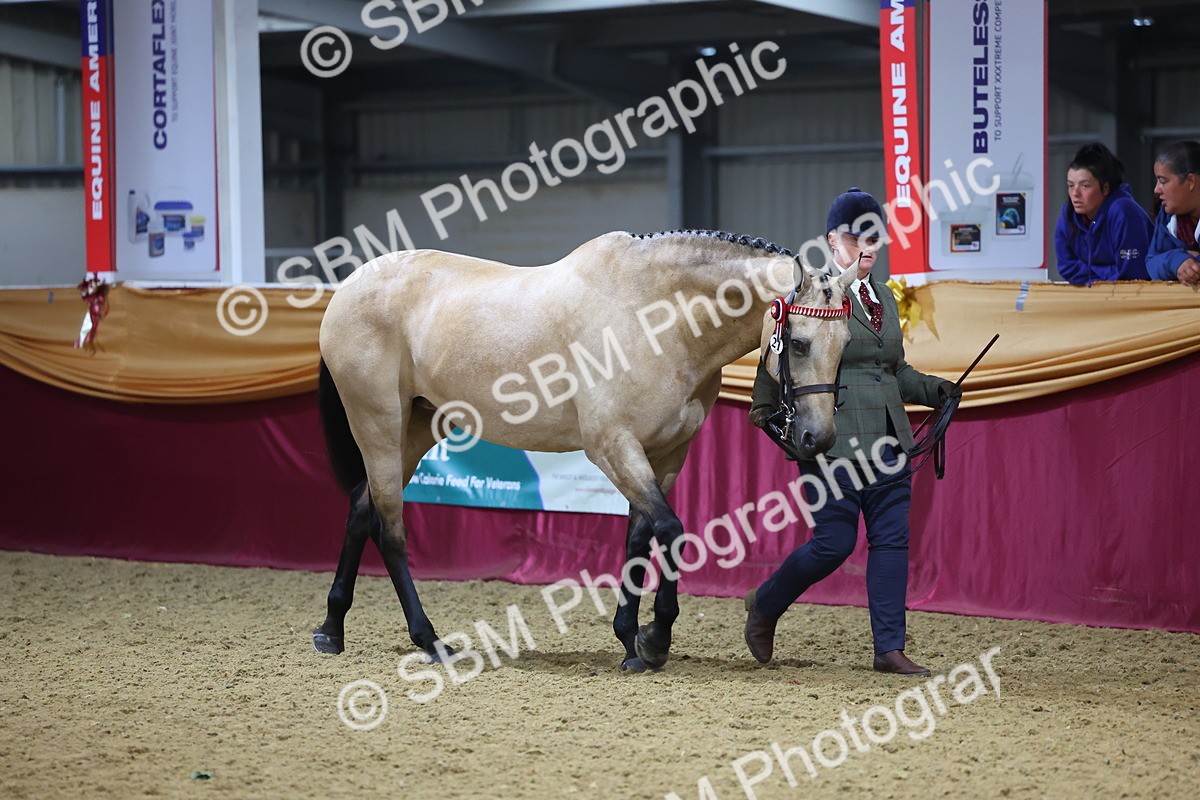 SBM_20752 - Class 902 - Supreme Final IH Veteran