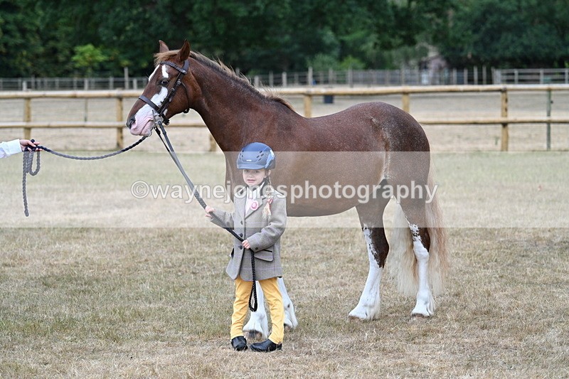 WJ7_9416 - Prettiest Mare Champs