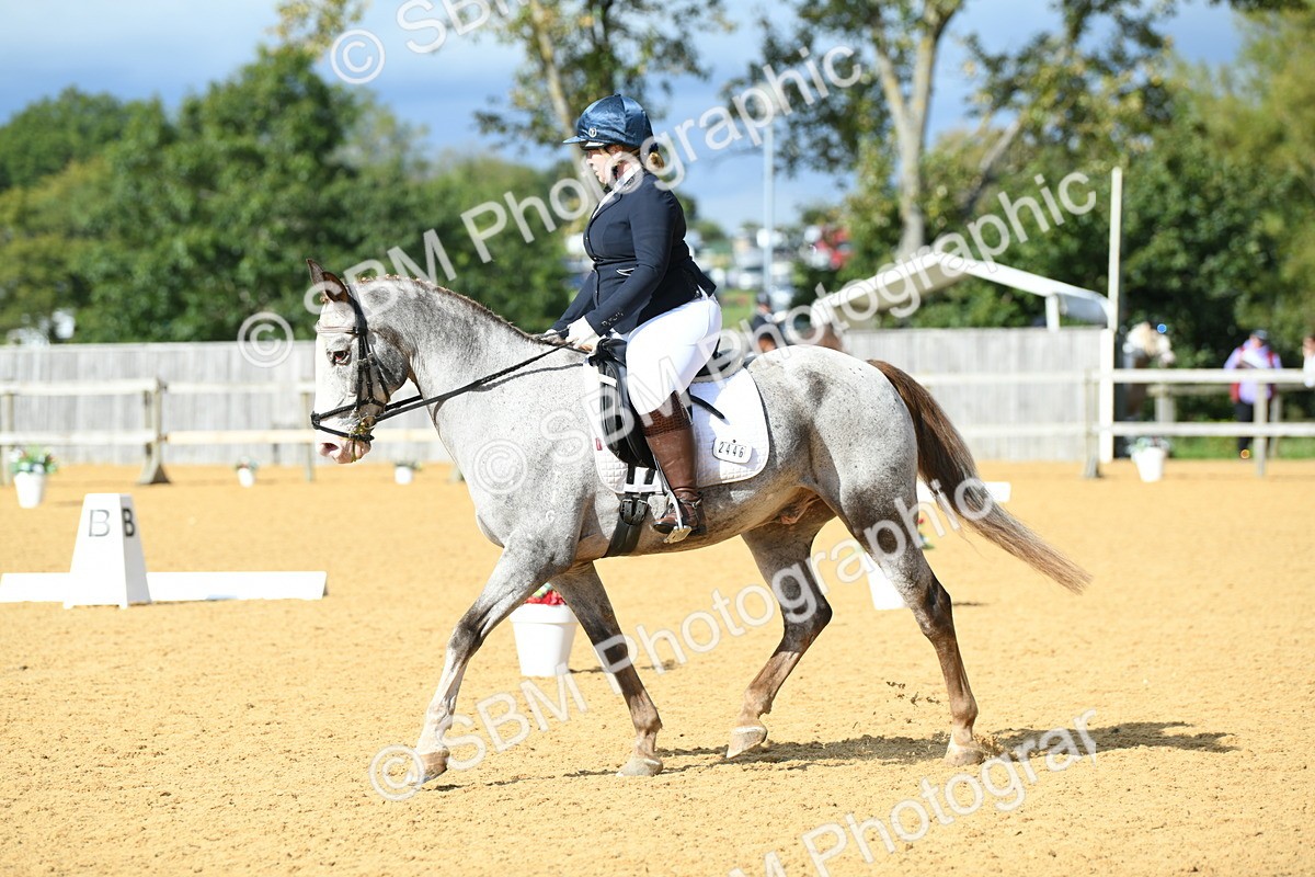 SBM_09794 - D15 Small Tour Championship Novice 24