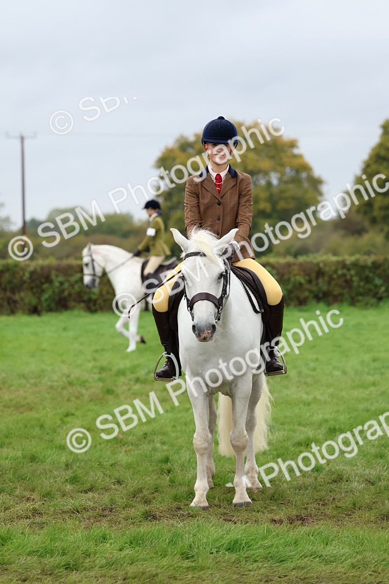 SBM_69649 - S62 - Mountain & Moorland Ridden Large Breeds