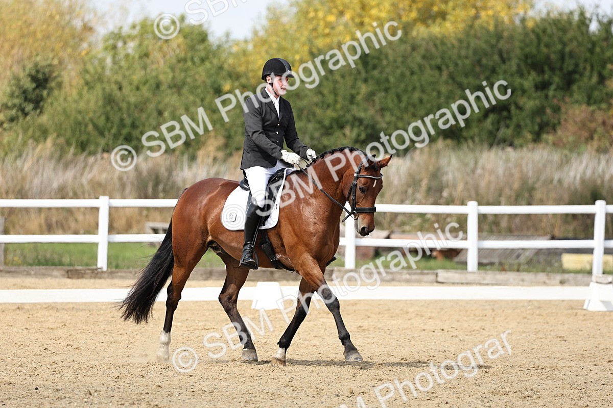 SBM_018717 - Class 16 - Novice 5 - 12.08-13.11