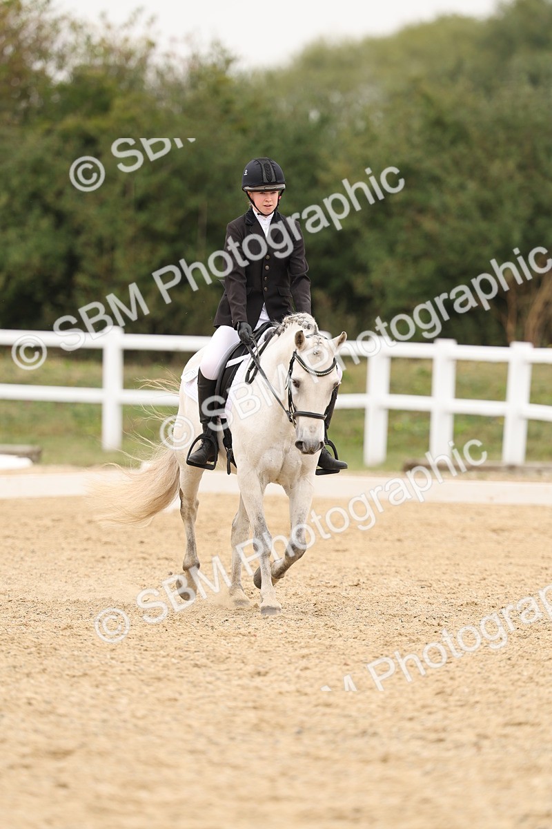 SBM_01078 - Class 8 - Novice 27 Champs