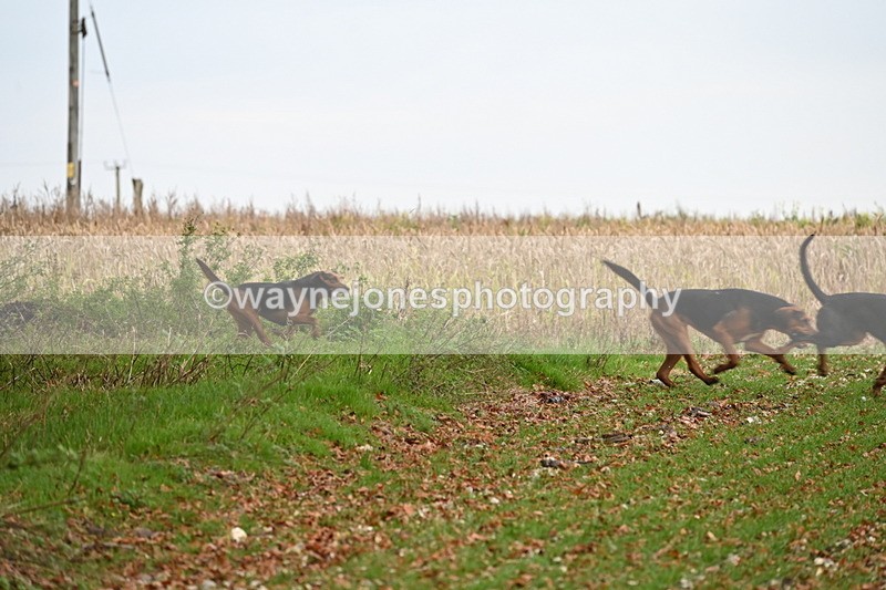 WJ6_9384 - Camera 2