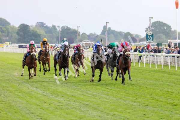 160524-Race 5-Big Evs-1897 - Race 5 4.15pm  British Stallion Studs EBF Westow Stakes