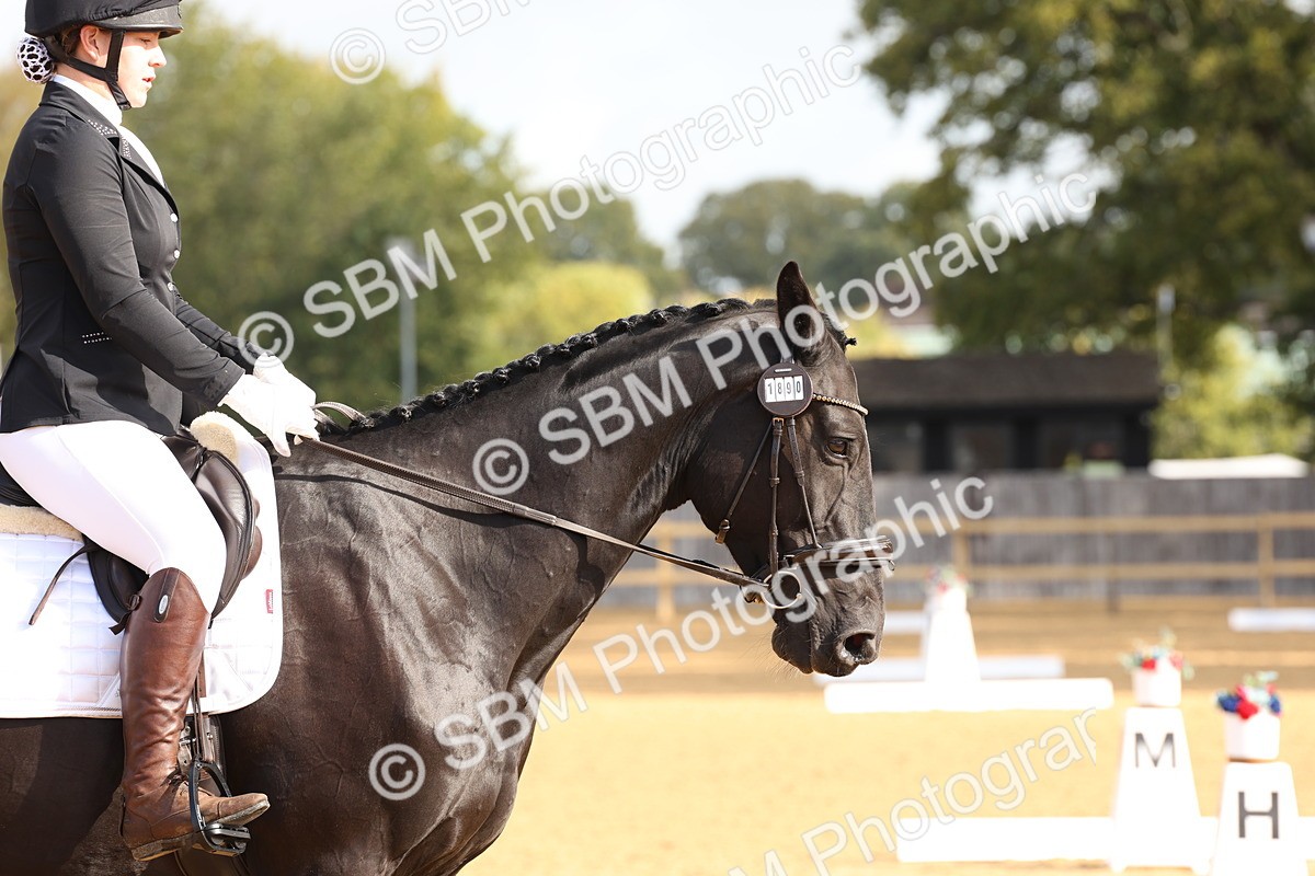 SBM_16194 - D10 - Small Tour Championship Prelim 2