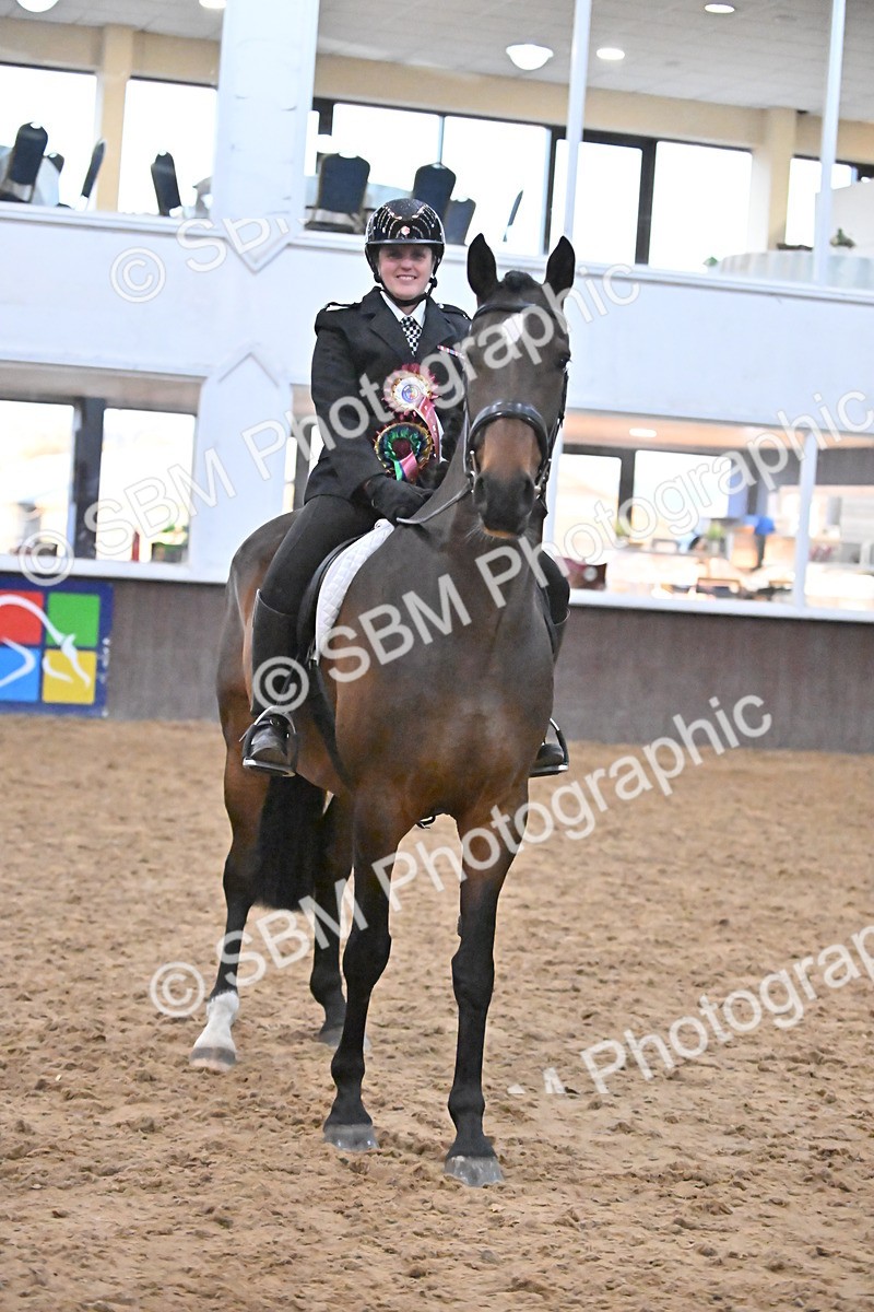 SBM_003057 - Class 37,38 - UKPSAF Performance Horse & Pony