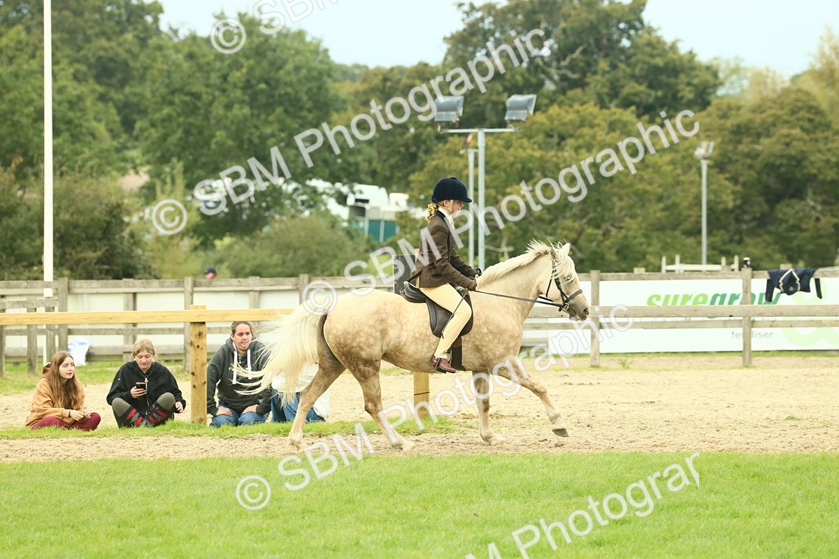 SBM_72026 - S60 - Mountain & Moorland Ridden Large Breeds