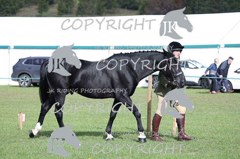 APP_2565 - Class 9 Veterans in hand