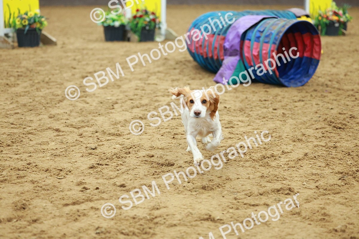 SBM_002531 - Class 3 - Horse & Hound (60cm)