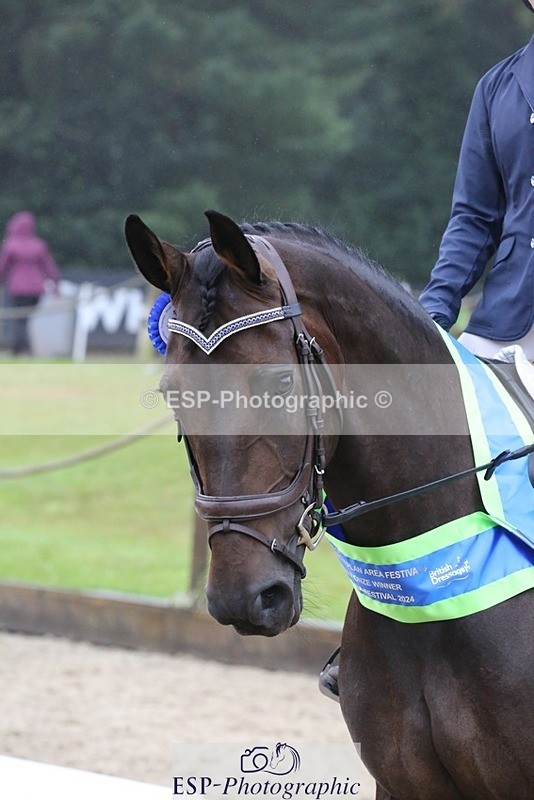 240720-124806-05130 - Cls 5 Novice BRONZE