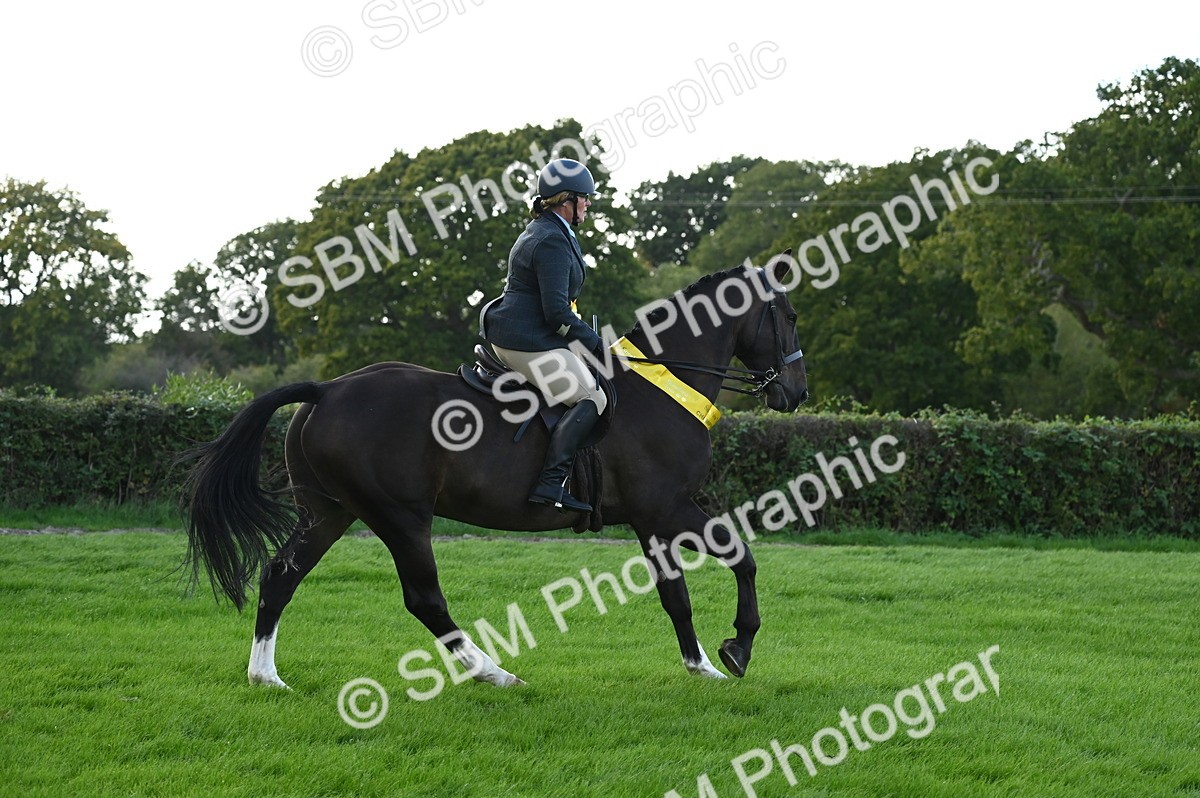 SBM_26496 - S6 - Novice & newcomer Ridden horse