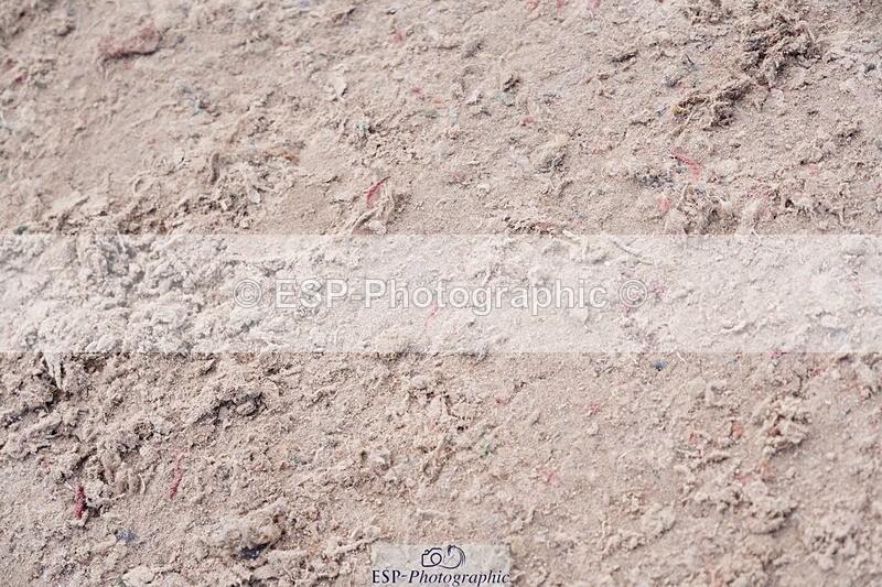 250525-111130-09230 - Cls 32 A&B Snr Brit Nov & 90cm Open