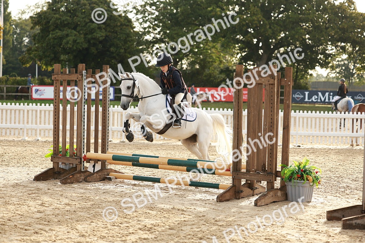 SBM_55484 - J11 - Junior Pony 50cm Championship