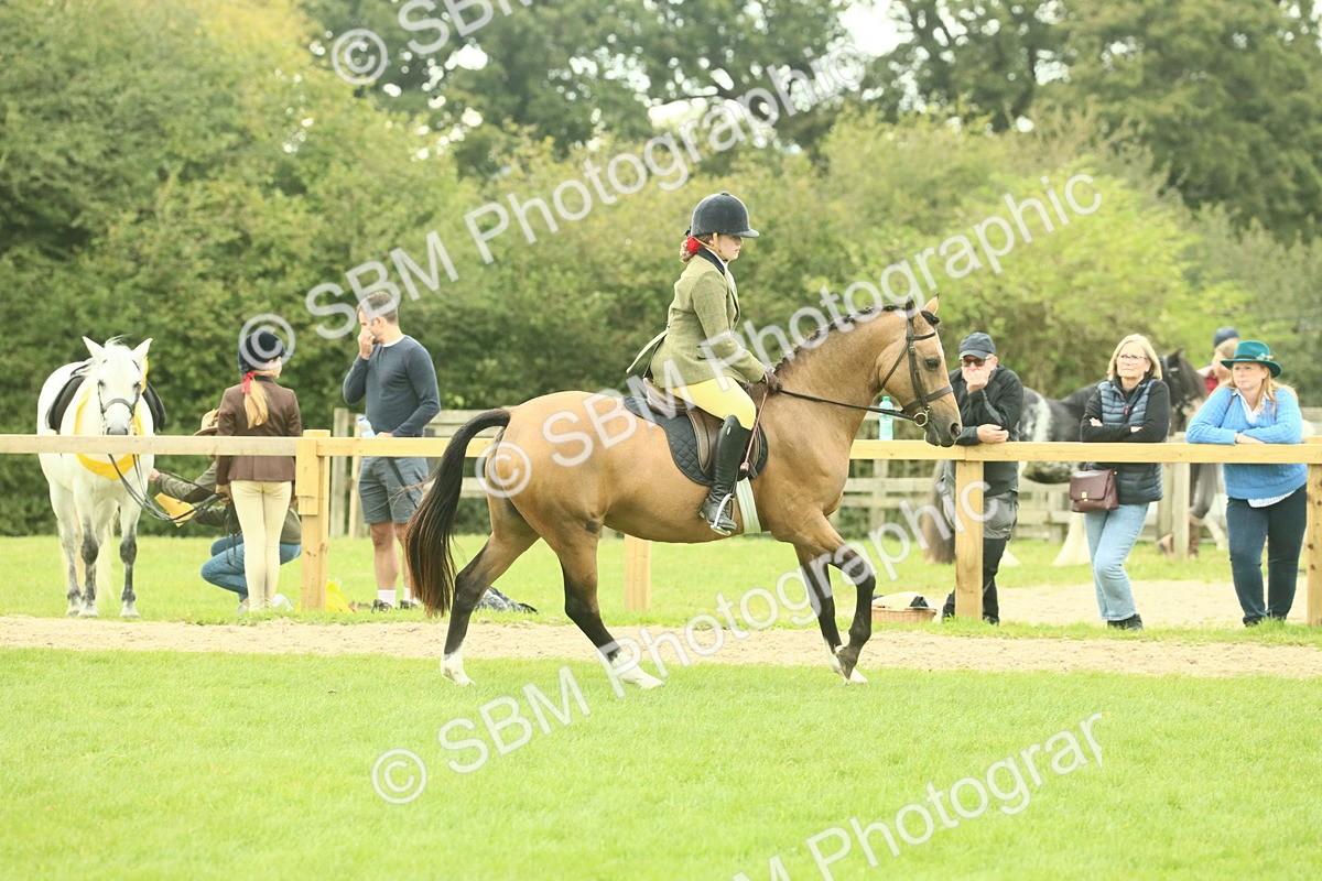 SBM_73961 - S 61 - Show Pony & Show Hunter Pony Ridden