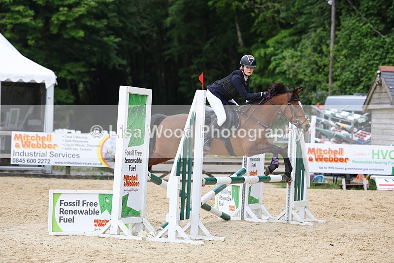 3E7A0130 - Class 13: Pony British Novice/80cm open