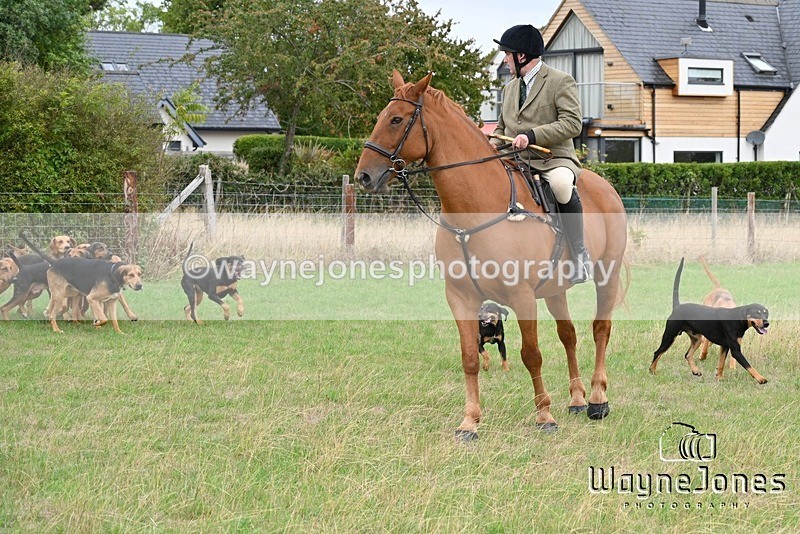 WJ7_0610 - Berks & Bucks Hound Exercise Blewbury 13-09-26