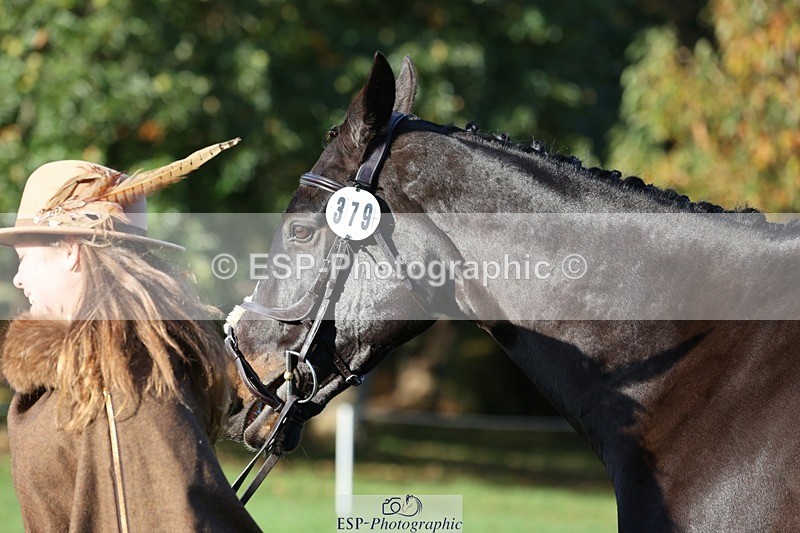 241027-091446-15154 - 379-Vikki.Maddox-GOGETTHAT