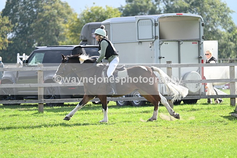 WJ7_4824 - 60cm Time 11:11 to 11:19