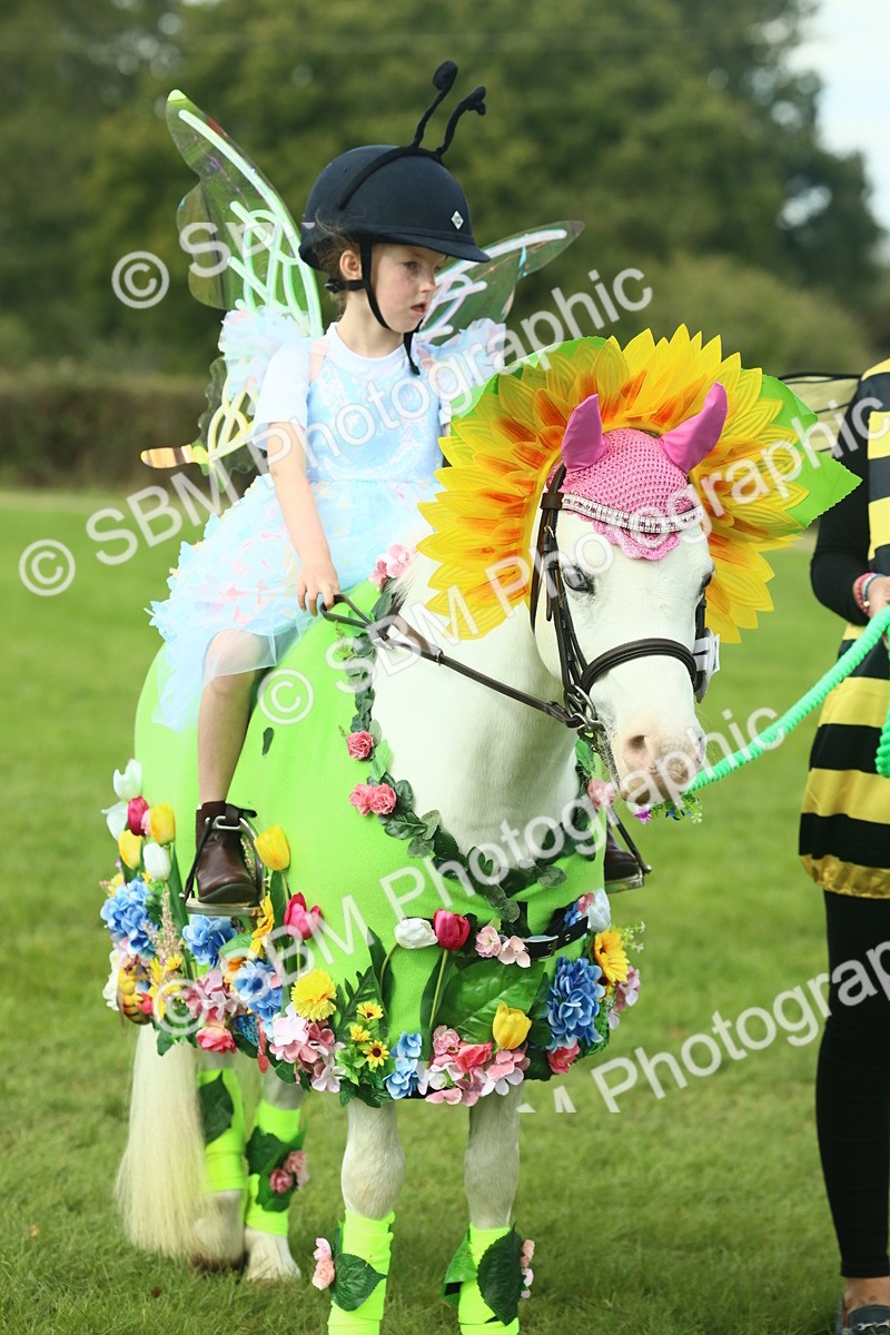 SBM_63565 - S35 - Fancy Dress Showing