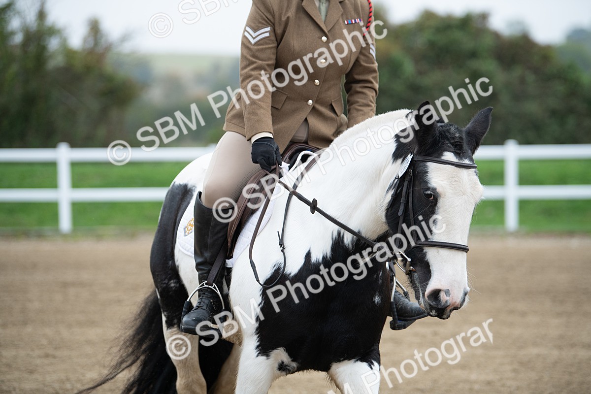 SBM_003436 - Introductory Test 3