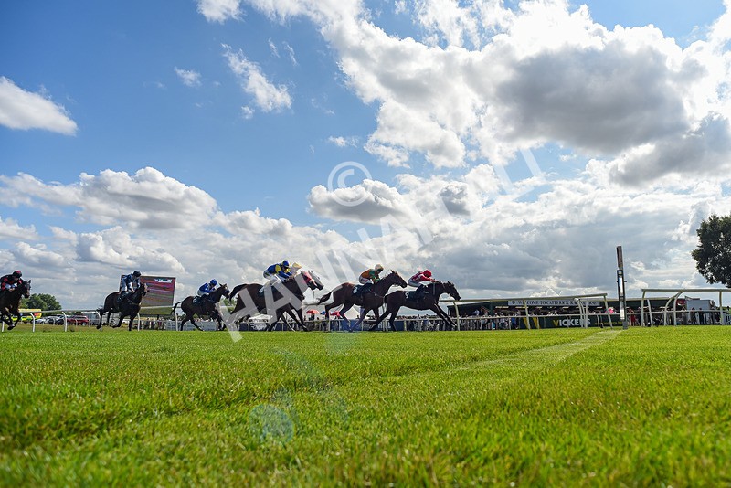 160725-Race 4-Lady Bouquet-6158 - Race 4
