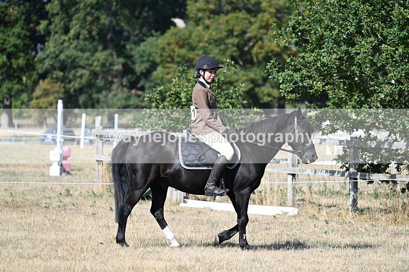 WJ7_3438 - Class 9 Mountain & Moorland Ridden