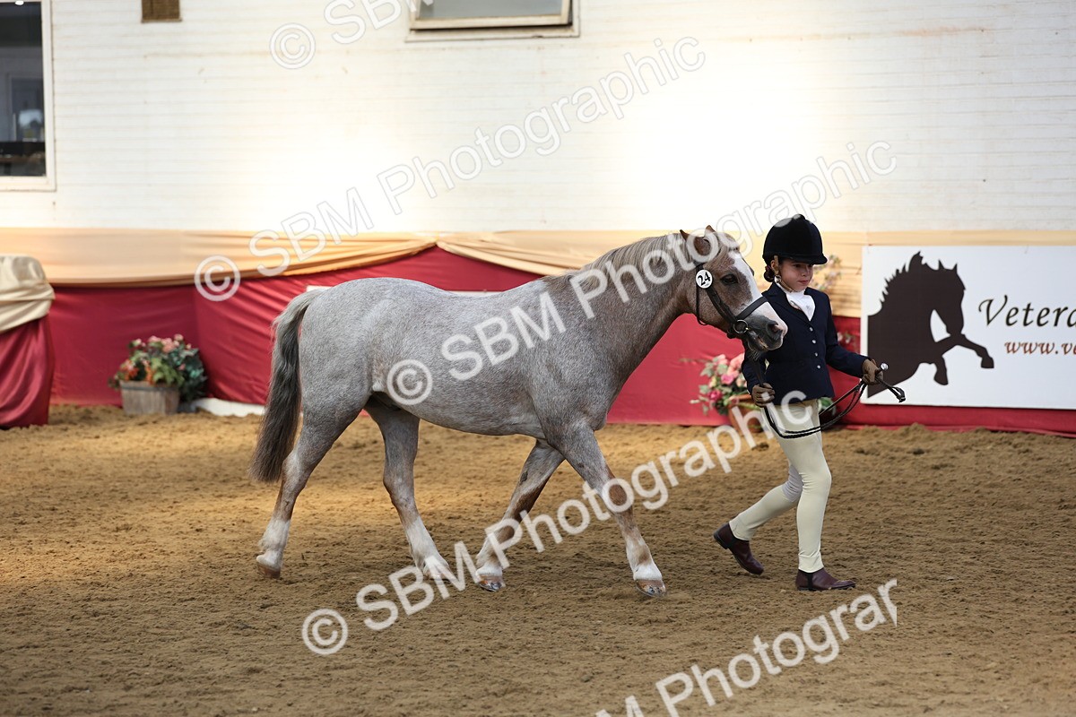 SBM_24128 - Class 905 - Supreme Final - Ridden Veteran
