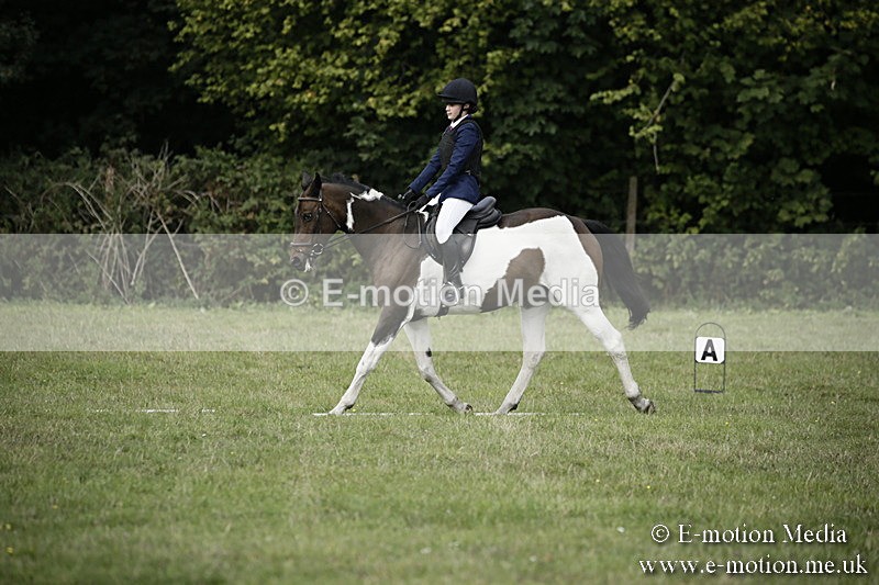 BVR090918 109 - BVRC Dressage and Show Jumping 09/09/18