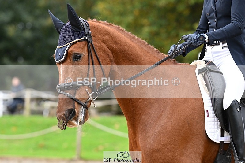 251023A-114902-02073 - B-139-Kirsty.Short