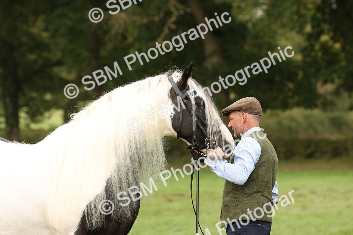 SBM_57515 - S56 - Show Cob in Hand