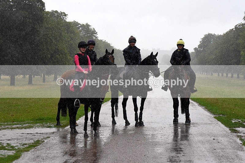 TT3_8853 - Time at Crossing 12:55 to 15:02