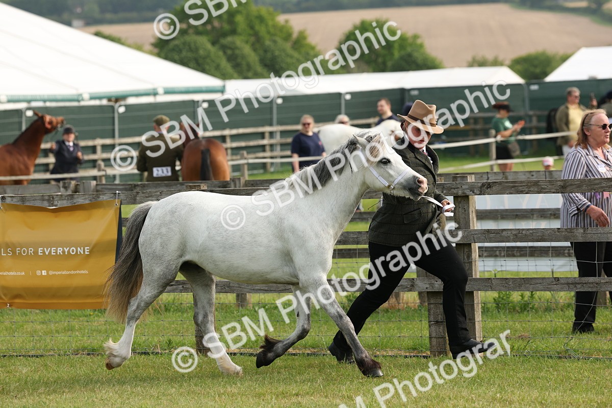 SBM_00517 - Class 6-13 - Mountatin and Moorland In Hand Welsh Breeds