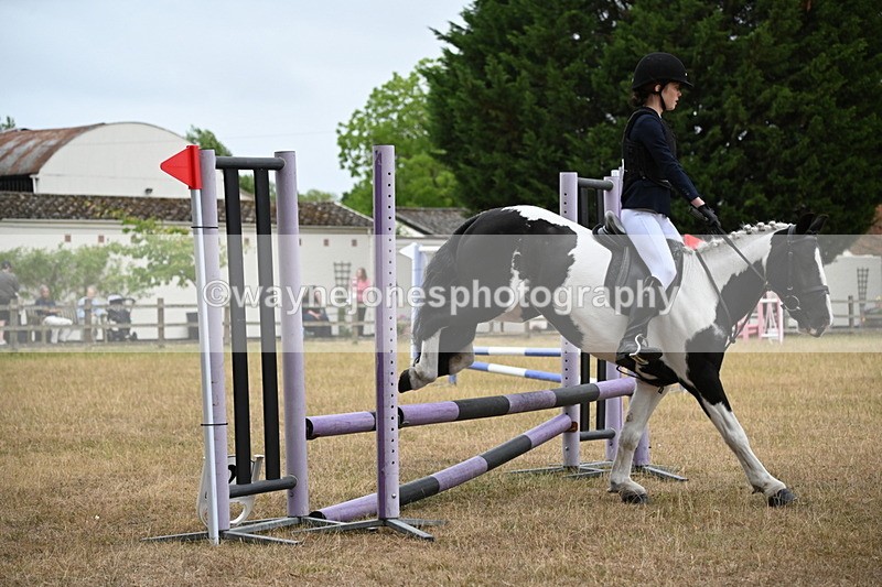 WJ6_0115 - Class 13 Novice Jumping 60cm