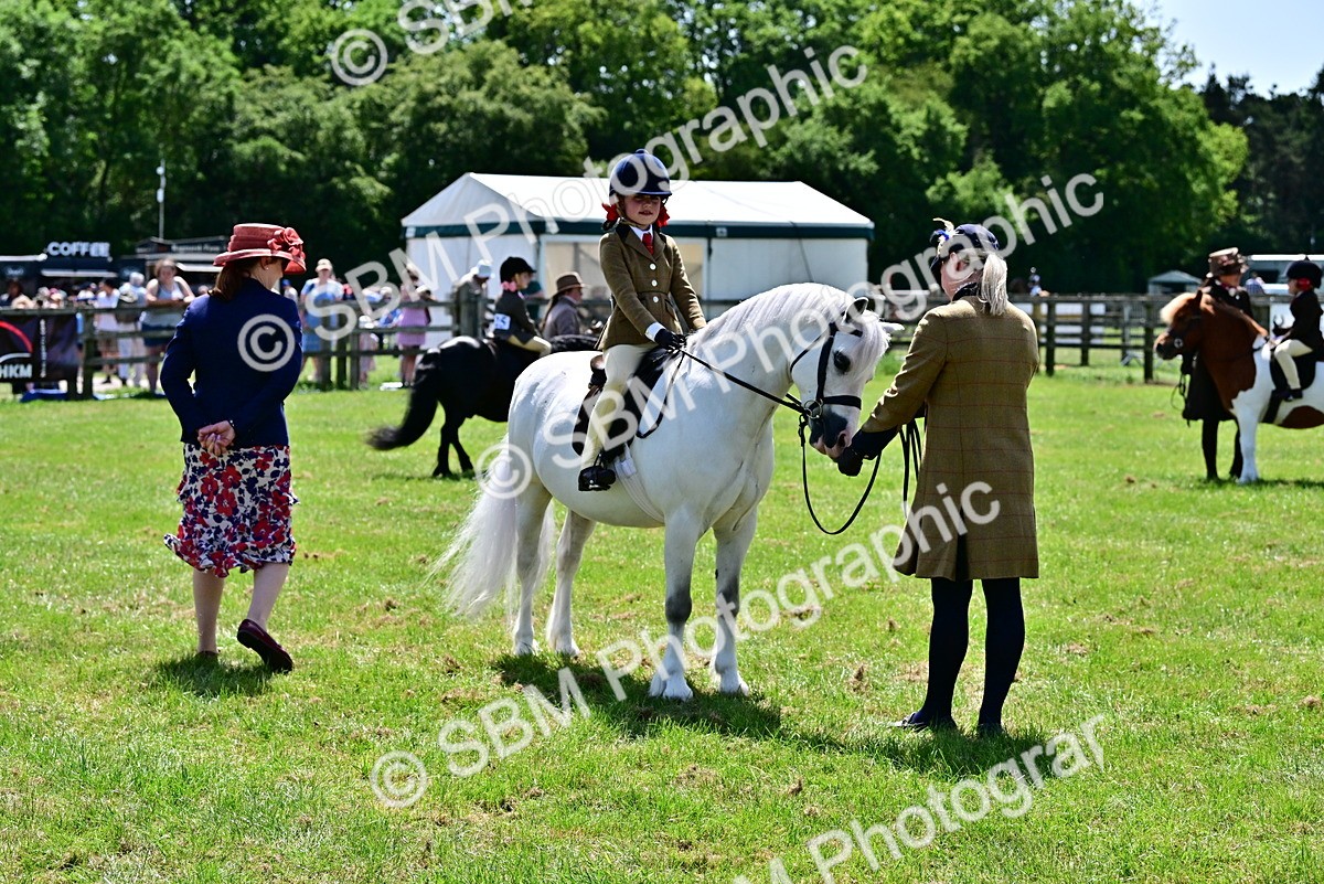 SBM_05877 - Class 59-60 - TSR M&M  Lear Rein and First Ridden Amateur of the year