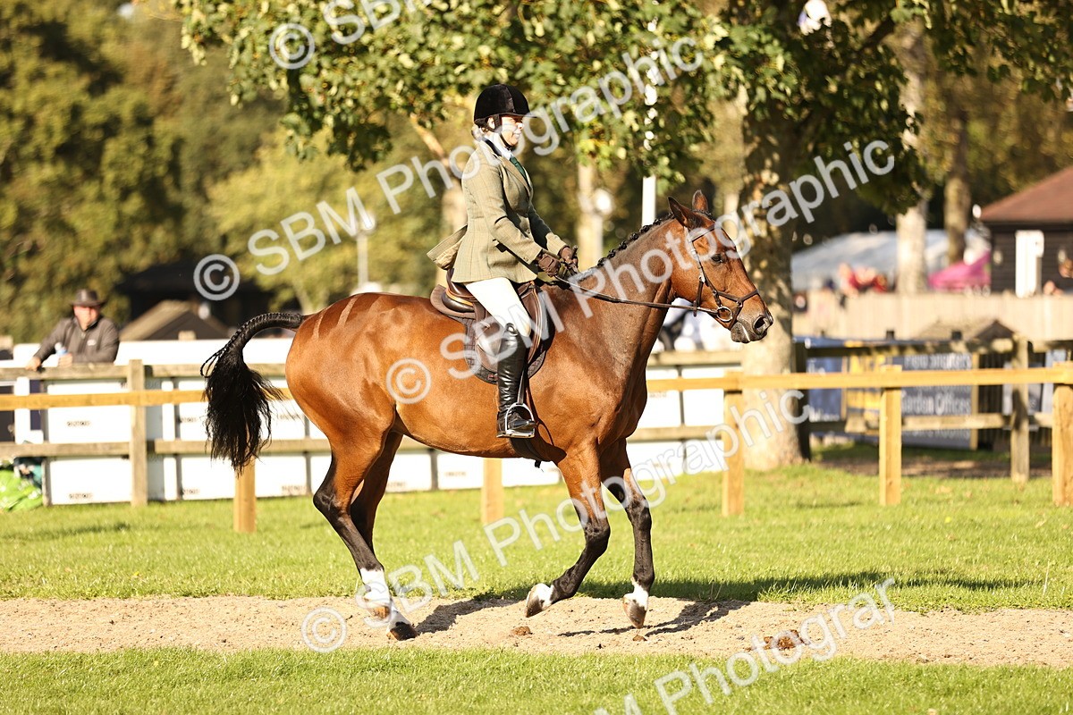 SBM_26465 - S6 - Novice & Newcomers Ridden Horse
