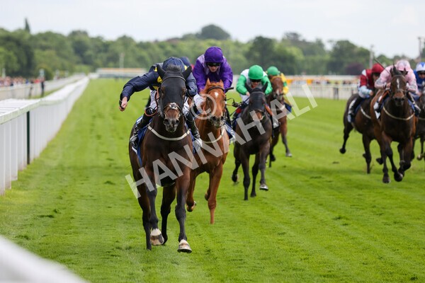yr11062022r5-25 - Race 5 3.40pm The Pavers Foundation Catherine Memorial Sprint Stakes