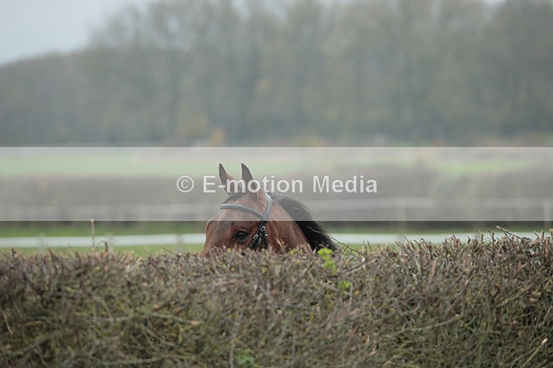 PtP 041222 0142 - Wheatland  Hunt PtP Chaddesley Corbett, Worcs 04/12/22