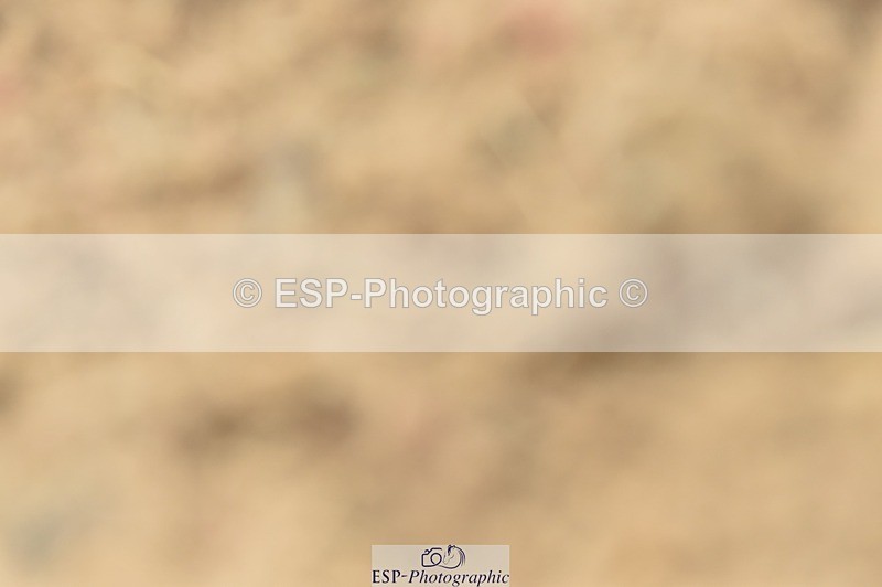 250622-142932-15645 - UnA Cls 3+4 Prelim 1+2