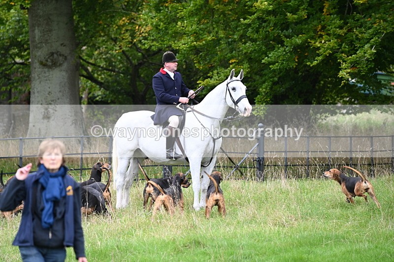 WJ6_0125 - Camera 2 Meet