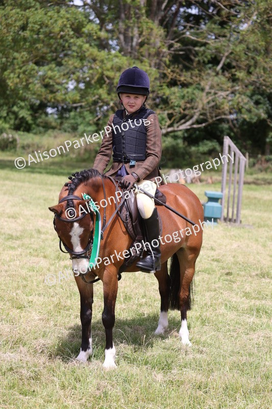 20260614-2146 - Class 21 - Novice Working Hunter Pony