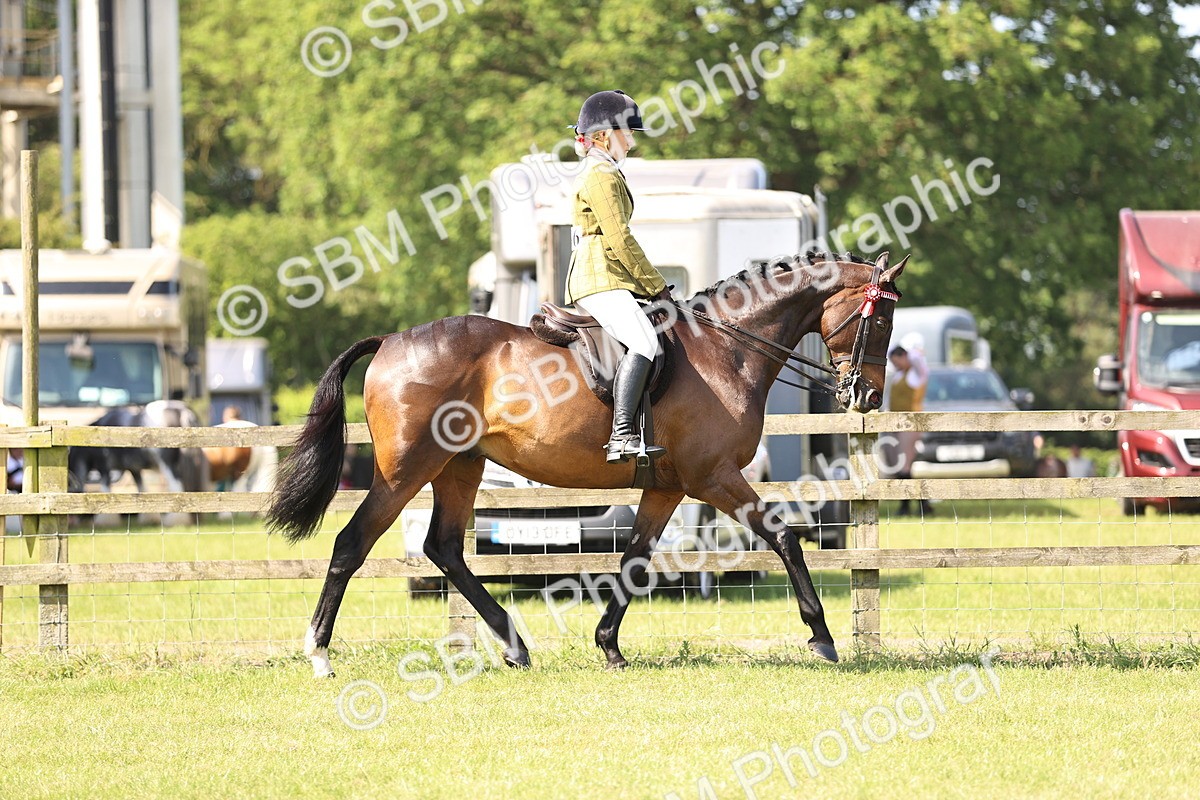 SBM_12965 - Class 75-76 LIHS BSHA Rising Star Hack Riding Horse