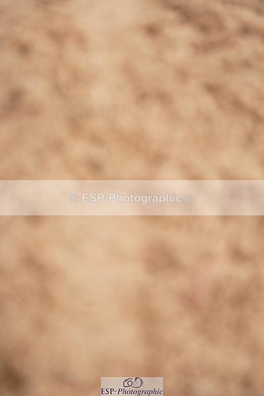 240506A-103718-08313 - Cls 13 Winter Summer 128cm & 138cm