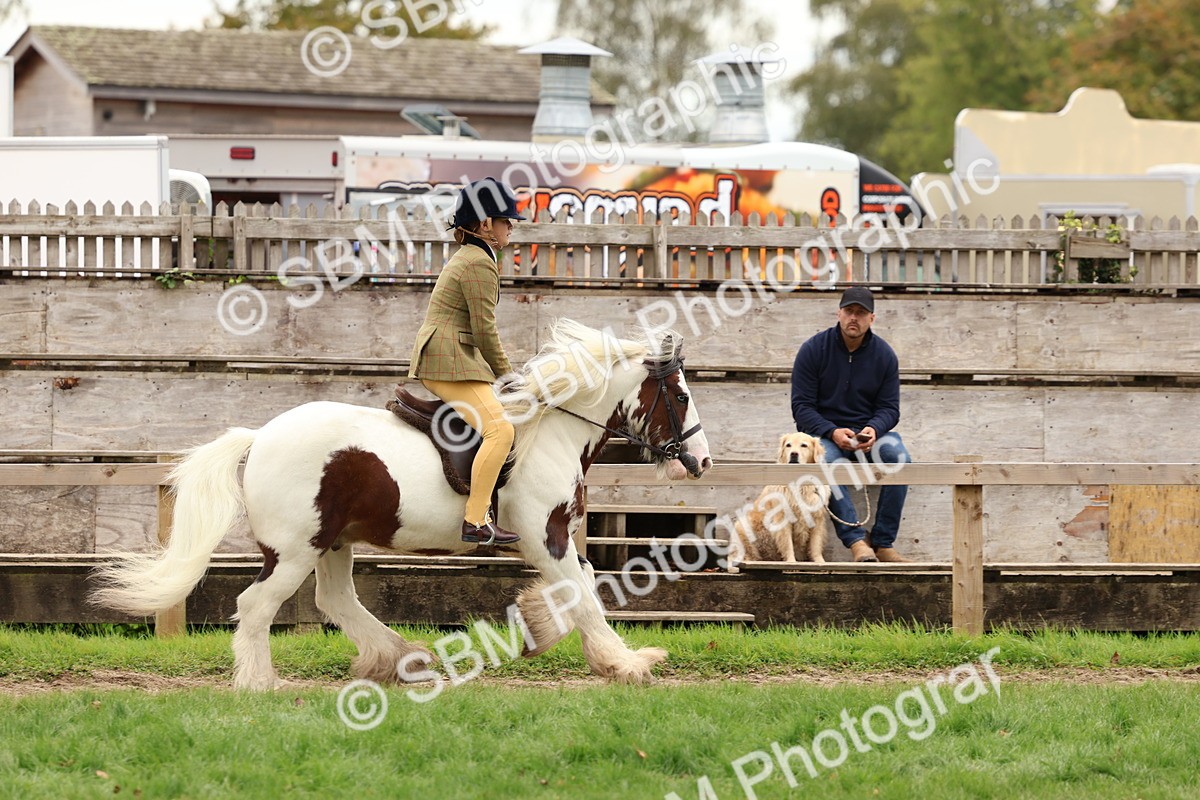 SBM_64595 - S58 - Coloured Pony Ridden